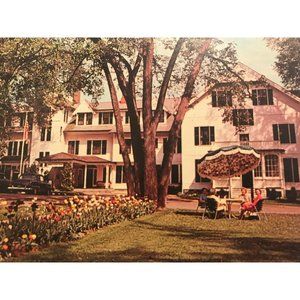 REAL Photo Post Card , Antique Cars, Treadway inn.